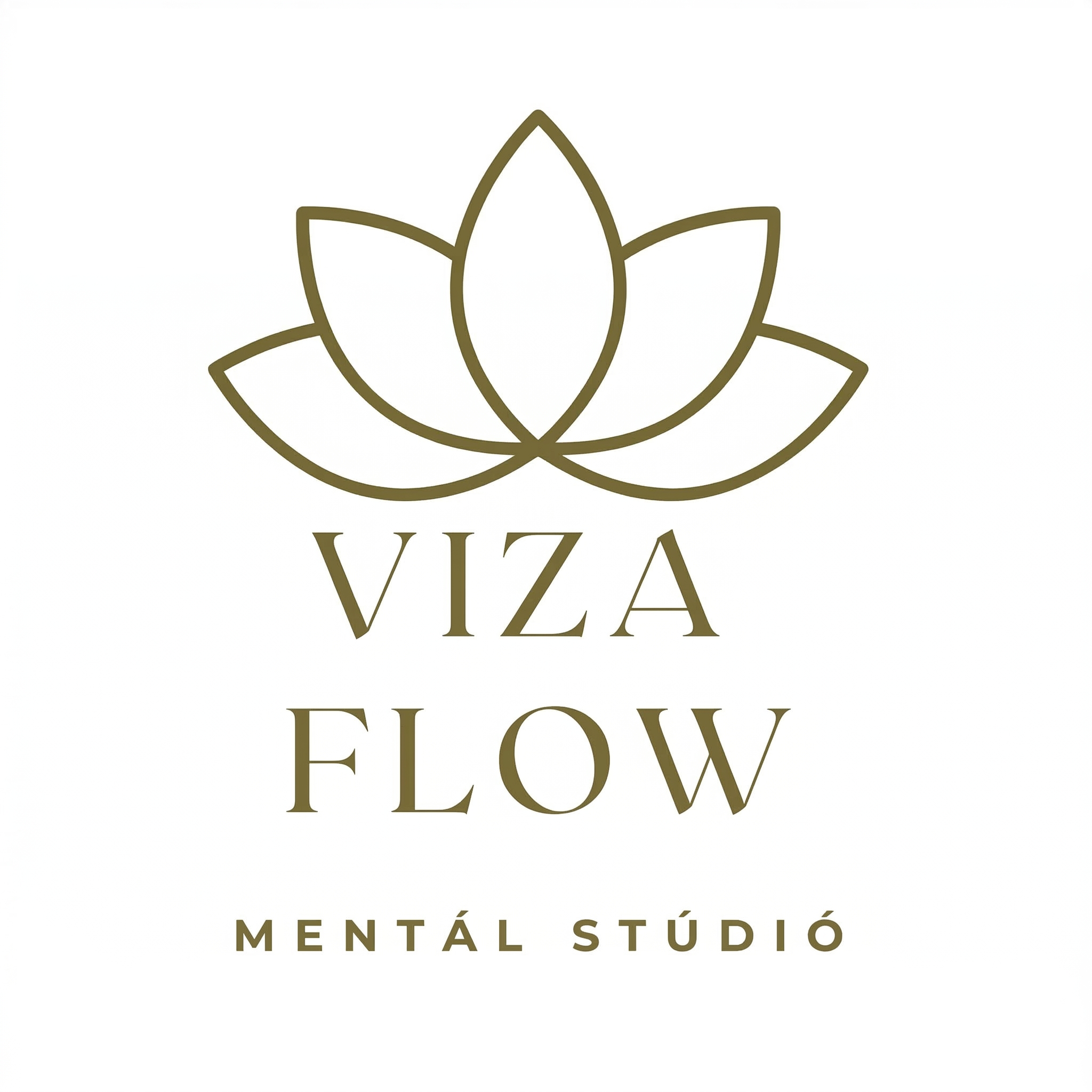vizaflow.hu logo